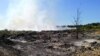 На півдні України горять ліси, минулої доби загасили десятки осередків – ДСНС