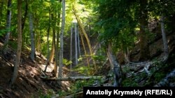 Кримський природний заповідник, вересень 2019