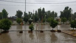 بارش باران در قصر شیرین