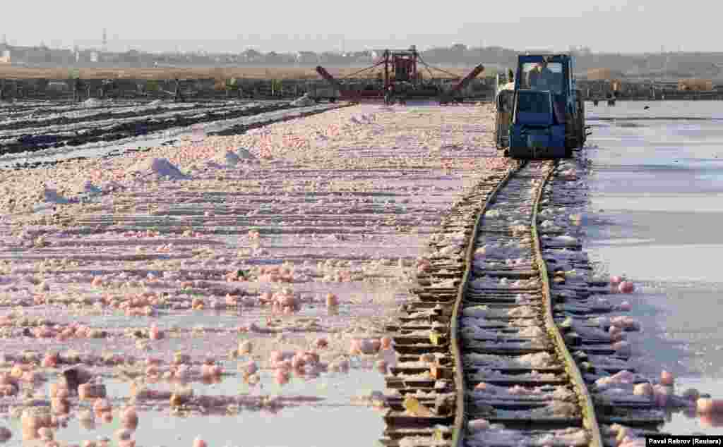 Помимо Крыма, розовую соль также добывают в пакистанских Гималаях, но там она каменная