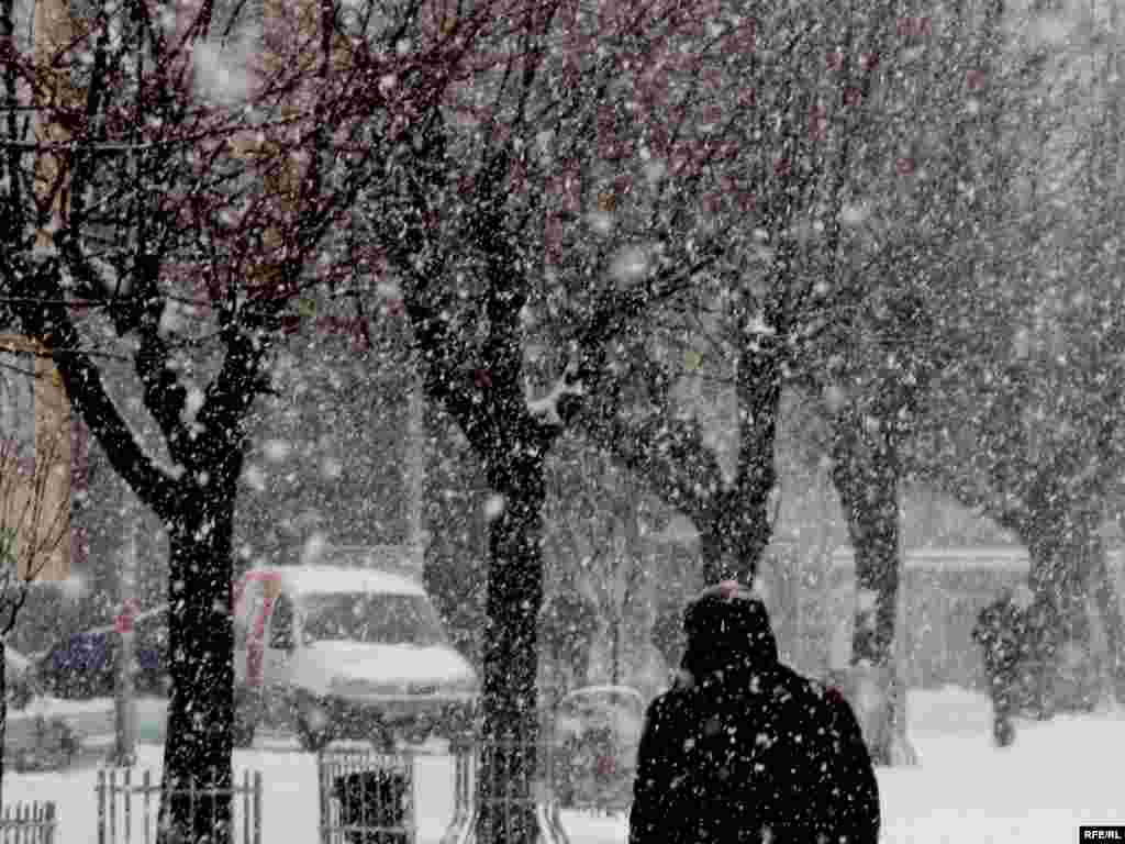 Snow falls in Pristina, Kosovo. - Photo by RFE/RL