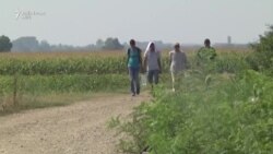 Migrantët e “ngujuar” në kufirin Serbi-Kroaci