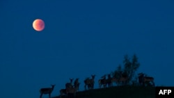 A previous lunar eclipse near a village in Belarus in 2015.