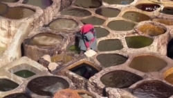 مراکش کې له دوديزو لارو څرمن (چرم) څنګه جوړول کېږي؟