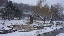 Симферополь лишают деревьев и парков