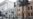Georgians Protest Over Felling Of Ancient Trees