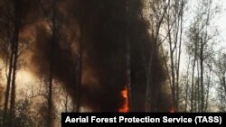ტყის ხანძარი რუსეთში, საილუსტრაციო ფოტო არქივიდან, არ ასახავს მომხდარ ავიაკატასტროფას