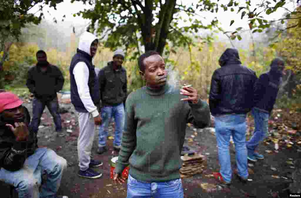 Asylum seekers gather around a fire in a forest near the Serbian village of Bogovadja on November 13. Hundreds of migrants from Africa and the Middle East are living in makeshift camps in central Serbia because the country&#39;s two asylum centers are full. 