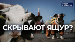 Боня пока молчит