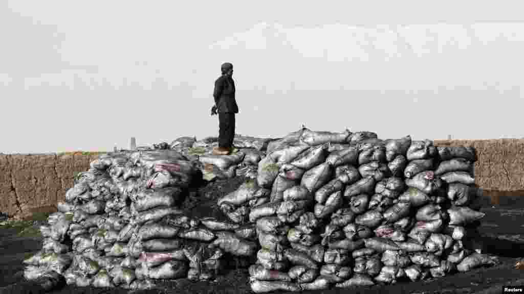 A worker takes a break atop sacks containing coal near Bagram highway in Afghanistan on February 29. (Reuters/Erik De Castro)