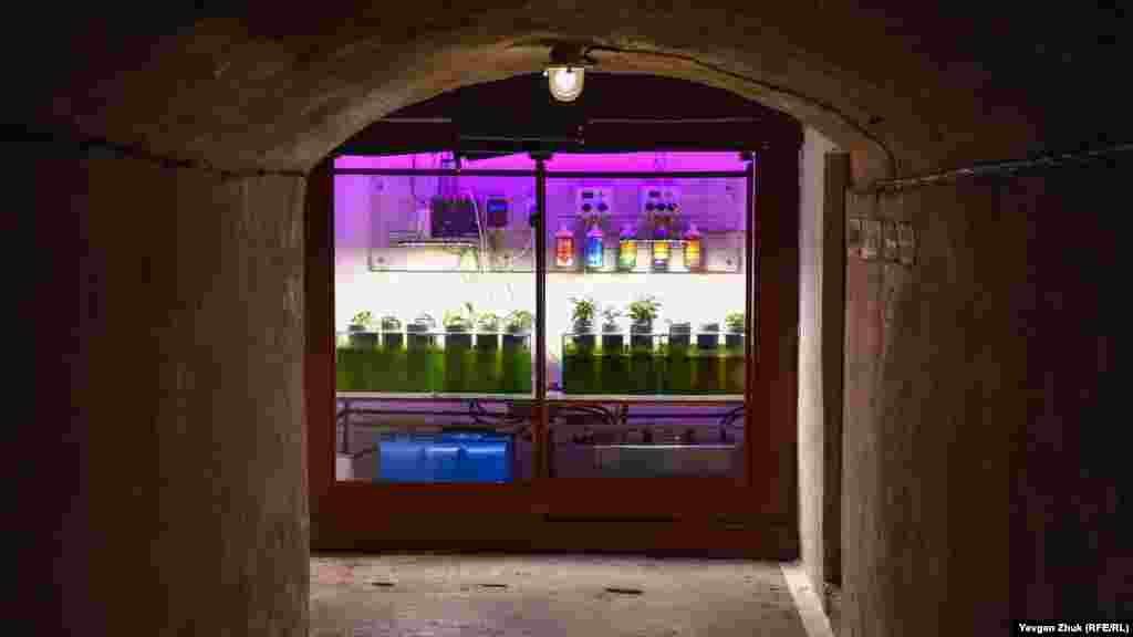 Біологічна станція для гідропонного способу вирощування рослин
