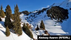 Кокжайляу в зимний период. Алматы, 7 января 2013 года.