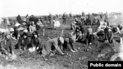 Дзеці зьбіраюць на калгасным полі мёрзлую бульбу. 1933
