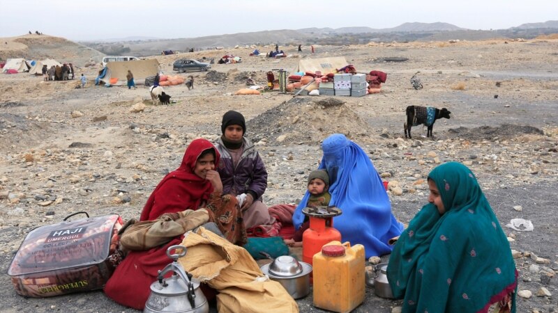 م.م: روان کال یولک او ۳۷زره افغانان له خپلو مېنو بېځایه شوي