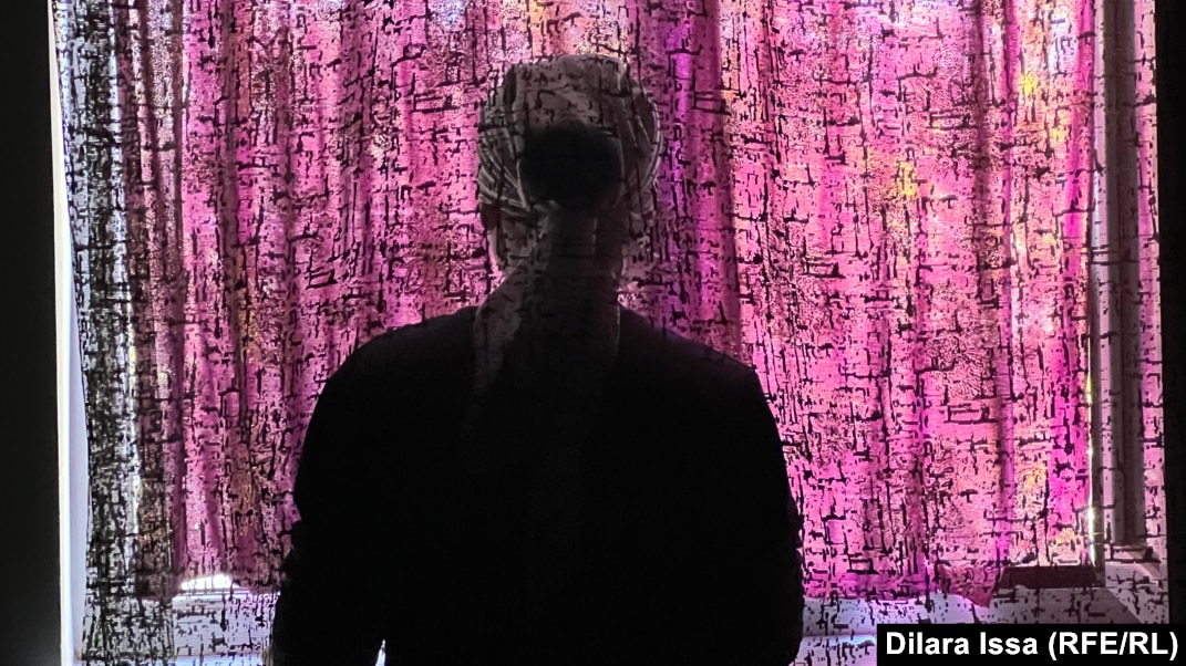 Сулы киска аккордеонда ойнайды