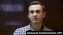 Russian opposition leader Aleksei Navalny