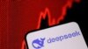 DEEPSEEK-MARKETS/