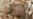 Shrouded In Mystery: Mummified Body Could Be That Of Iran's Reza Shah