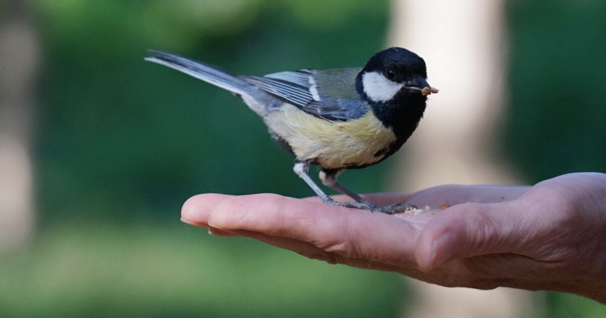 Джина Девайнмен порно кастинг Әйелімен трусисыз жыныстық қатынас