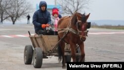 Sfârșit de toamnă la Telenești 