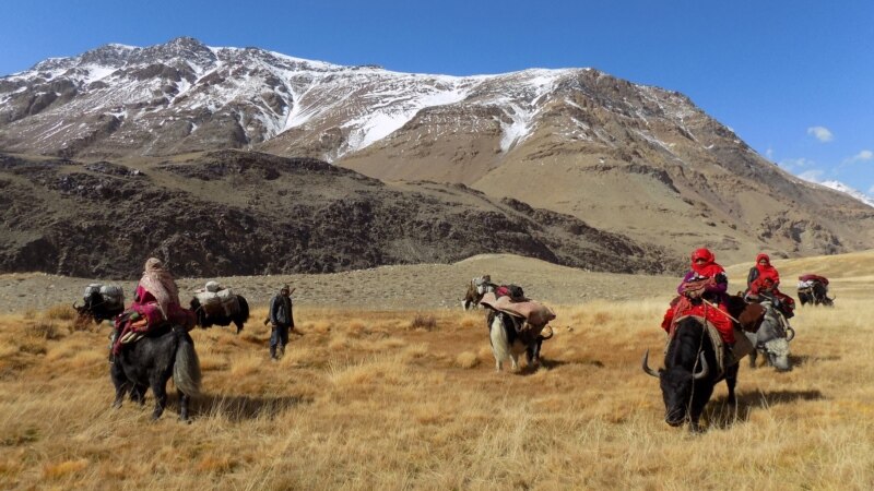 ТИМ ооган кыргыздары арасында тумоо күчөгөнү тууралуу маалыматты текшерүүдө