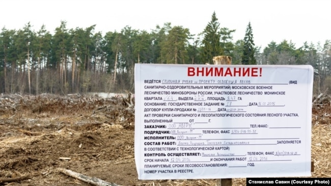 Здесь раньше был лес Минобороны