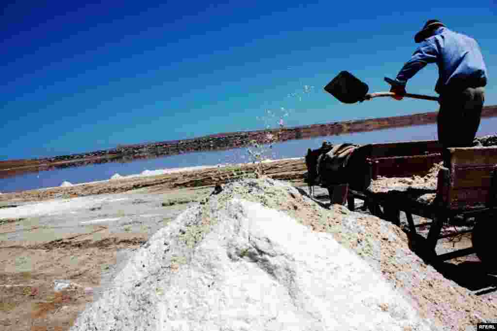 Çörəyi duzdan çıxaranlar #27