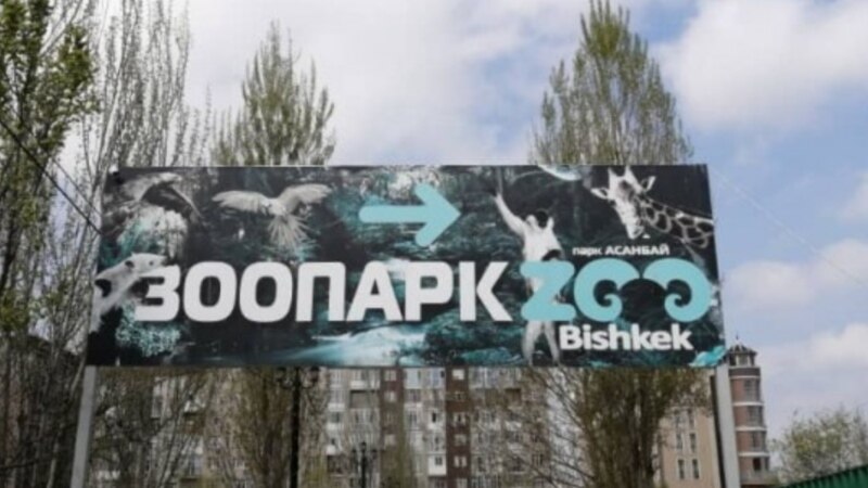 Бишкек зоопаркы жардамга муктаж