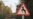 Viktor Yanukovych's Secret Hunting Lodge