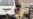 U.S., EU Condemn Pakistan Killings