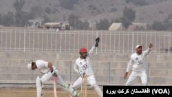 عکس جنبۀ تزئینی دارد