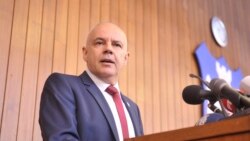 Zoran Radojičić, fotoarhiv