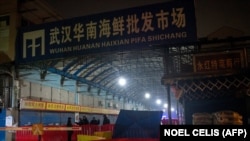 Deňiz önümleriniň lomaý söwdasyny edýän ýapyk Huanan bazary. Wuhan, 2020-nji ýylyň 8-nji ýanwary.