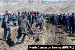 The first furrow is carried out during the festivities in Balkhar village on April 4, 2015 (file photo)