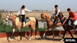 Ахалтекинские лошади. Туркменистан (Фото из архива) 