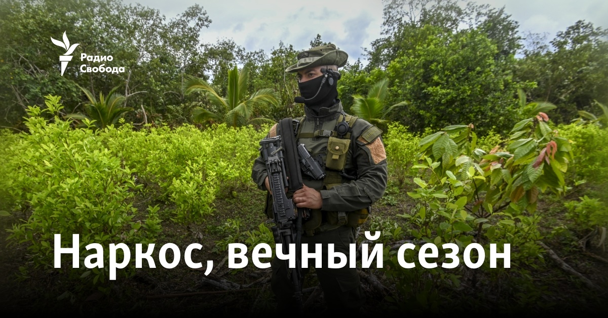 Наркос, вечный сезон