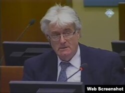 Radovan Karadžić na suđenju u Hagu, 17. siječanj 2012.