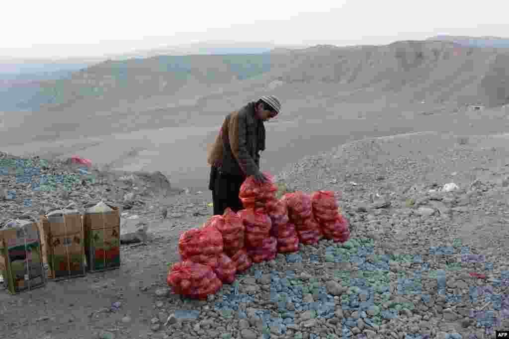 An Afghan vendor displays his pomegranate harvest for sale along the Kabul-Jalalabad highway near Jalalabad. (AFP/Noorullah Shirzada)