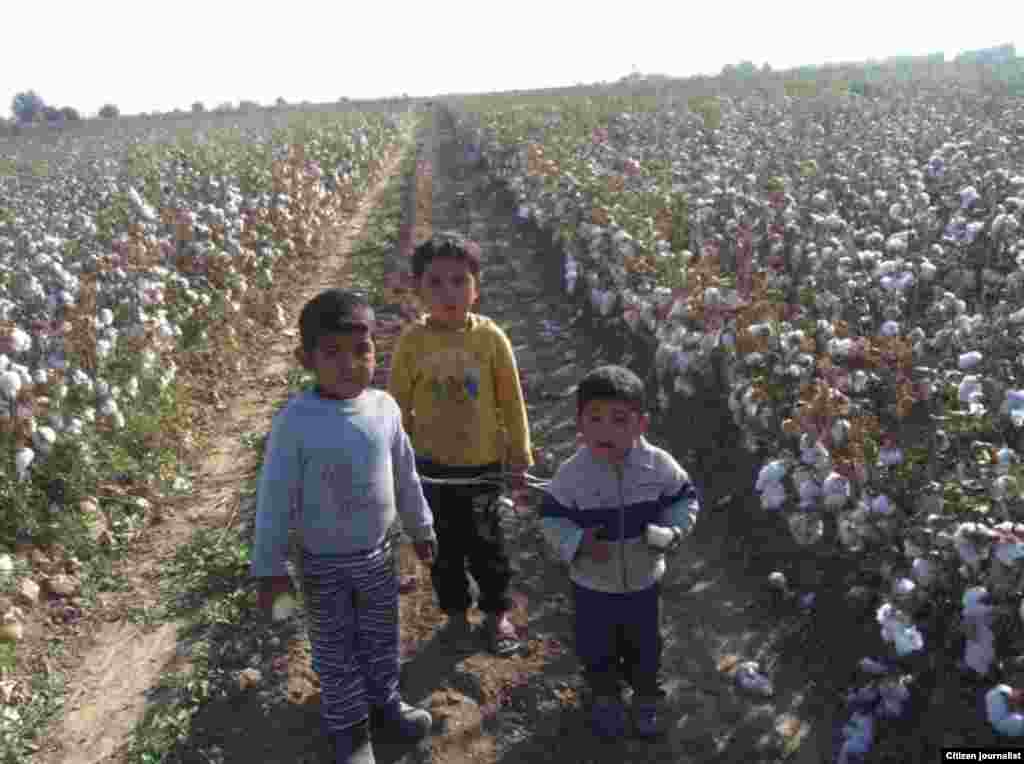 Uzbekistan--Though prohibited from opperating in the country officially, RFE/RL's Uzbek Service has used social media to cultivate a network of citizen journalists who assist in reporting on the ground, including on forced labor in the annual cotton harvest. 