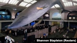 Jedan od punktova za vakcinaciju u New Yorku