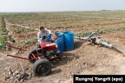 A Thai farmer refuels diesel into a water pump while farming watermelons in Ayutthaya Province on April 1. Thai farmers are facing shortages of diesel, fertilizer, and insecticides, alongside rising production costs, which threaten their crops amid the ongoing global fuel price surge worsened by the US-Israel war on Iran.