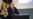 Путин заказал посадки «экстремистов»?