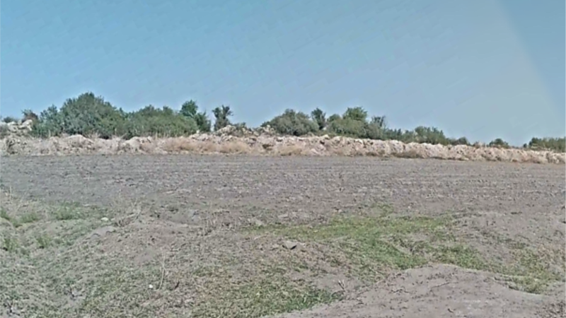 Maryda gemrijiler köpelýär, sanitariýa hünärmenleriniň hödürleýän çäkli çözgüdi netije bermeýär