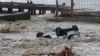 Під шаром бруду, без енергопостачання і питної води: що наробила стихія у Ялті? (відео)