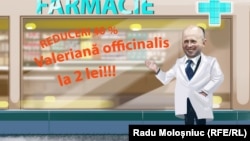 În laboratorul unei „înțelegeri verbale” 