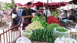 میوه و ترکاری تازه به بازارهای کابل رسیده