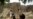 Pakistan Taliban Name New Leader, But Doubts Remain