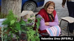 Imagine generică
