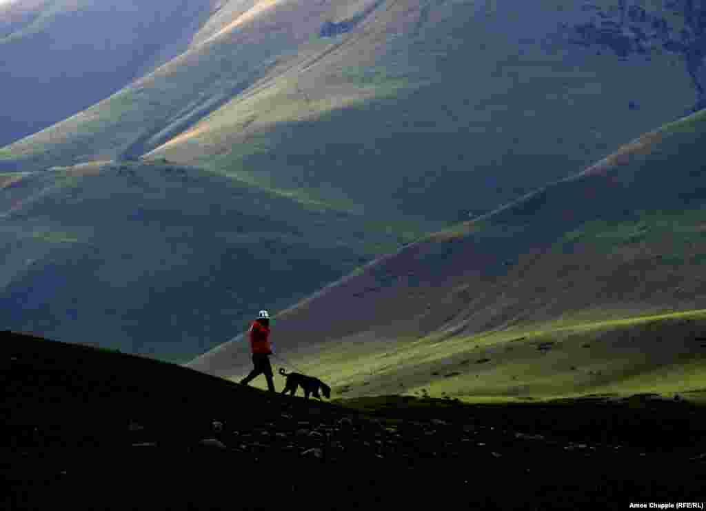 Rolling landscape and the curly tail of a Taigan dog, on the sidelines of the dog-racing event. Taigan are a Kyrgyz dog breed whose large lungs, warm coat, and speed make them ideal for&nbsp;mountain hunting. &nbsp;