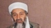 Pakistan Detains U.S. 'Bin Laden Hunter'